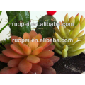 Plantas de vivero suculentas de mini cactus artificiales para decoración